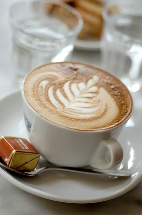 Cappuccino, latte, espresso, macchiato - làm sao để phân biệt?