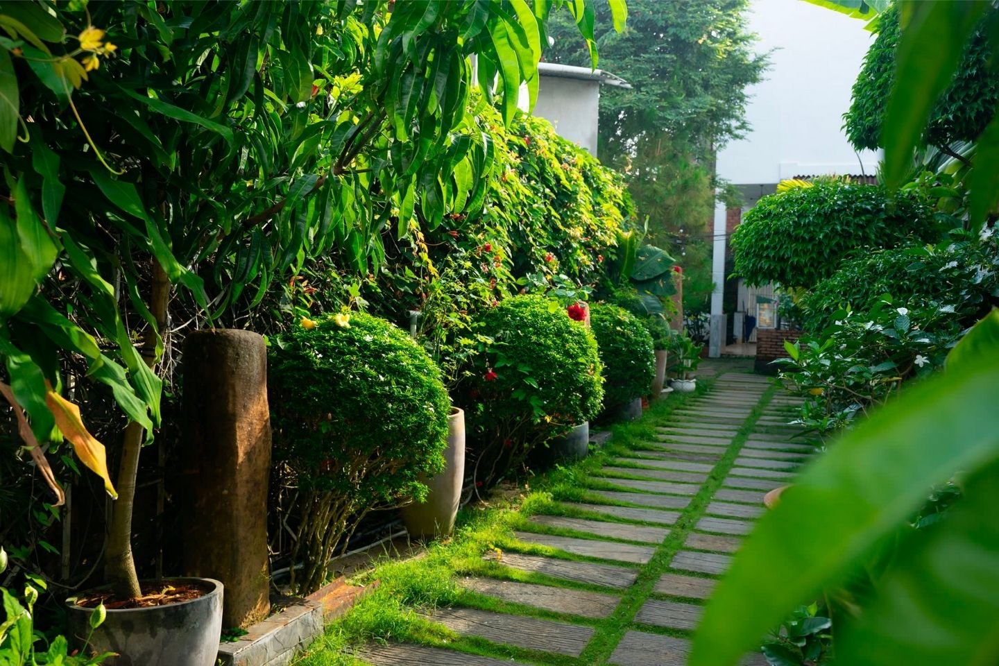 Chưa đến Cafe Catinat độc đáo là chưa tới phố núi B'lao thơ mộng 6