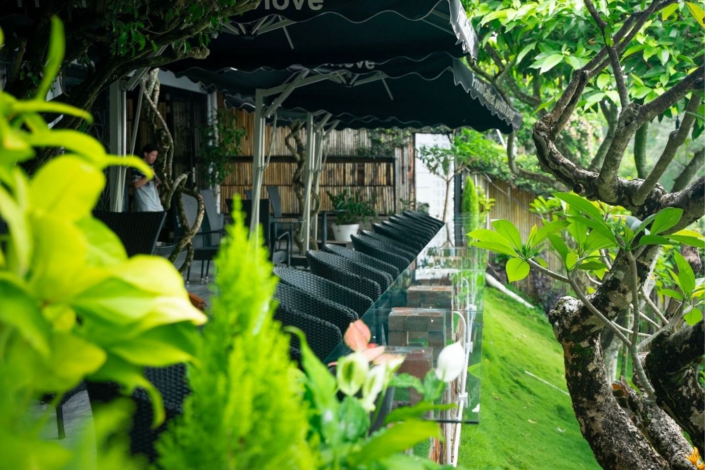 Chưa đến Cafe Catinat độc đáo là chưa tới phố núi B'lao thơ mộng 7