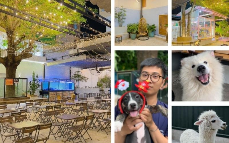 Pet Coffee Garden