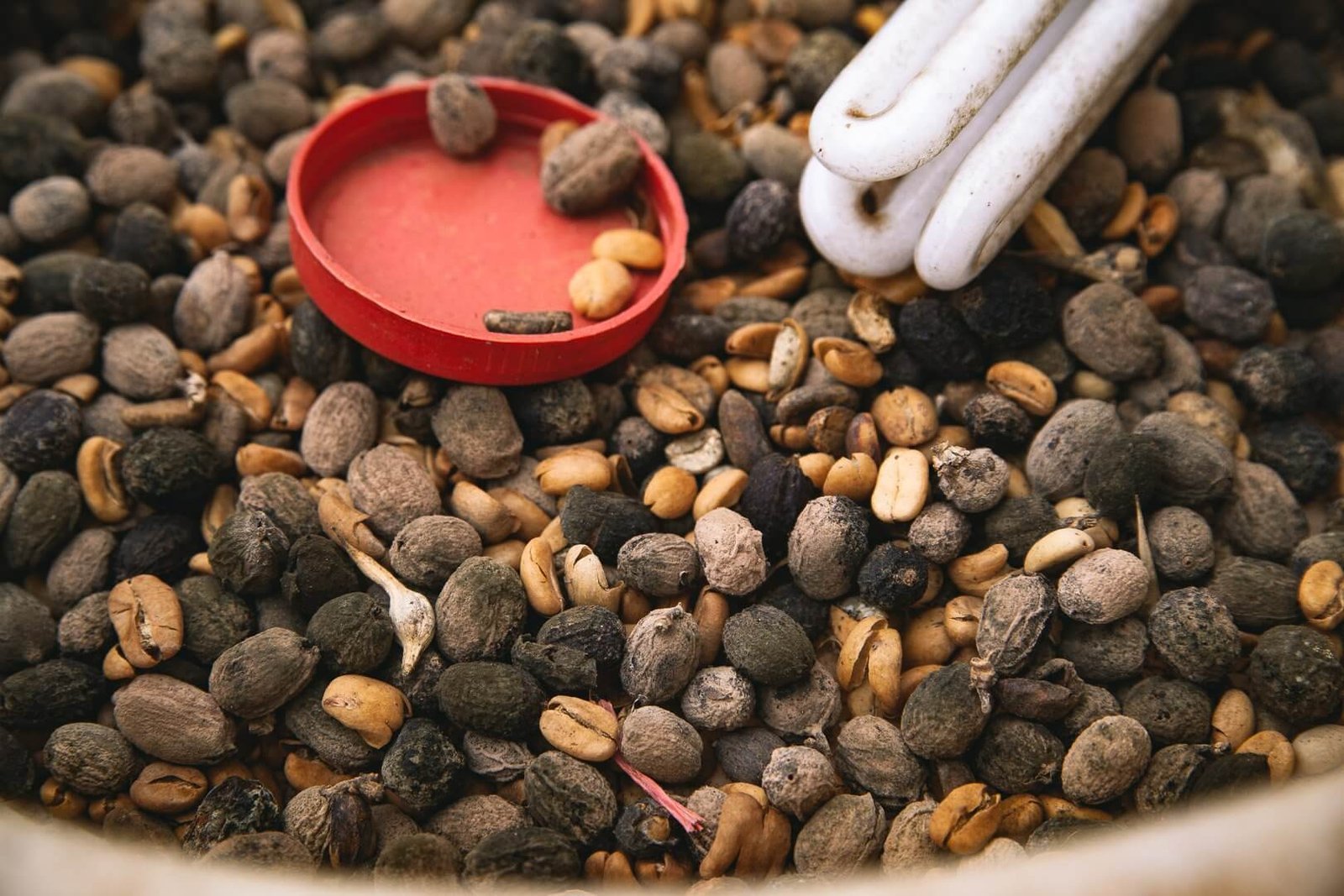 Hạt tiêu với nắp hộp đỏ và bóng đèn trong nền, ảnh cận cảnh các loại hạt, thực phẩm và gia vị.