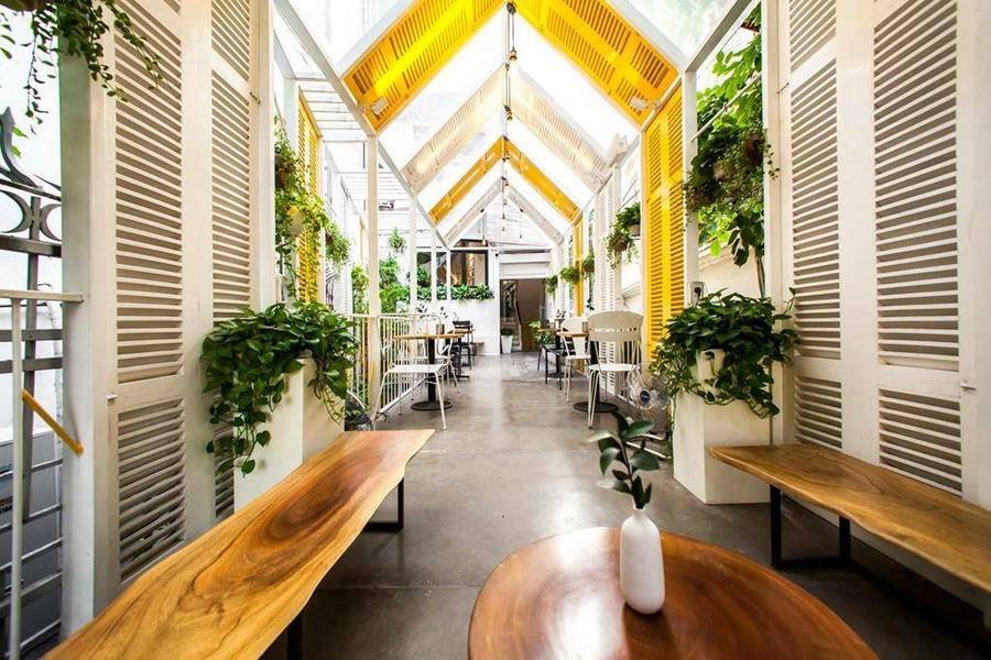 Quán cà phê trang trí hiện đại với bàn ghế gỗ, cây xanh treo trên tường và mái kính lấy sáng tự nhiên.